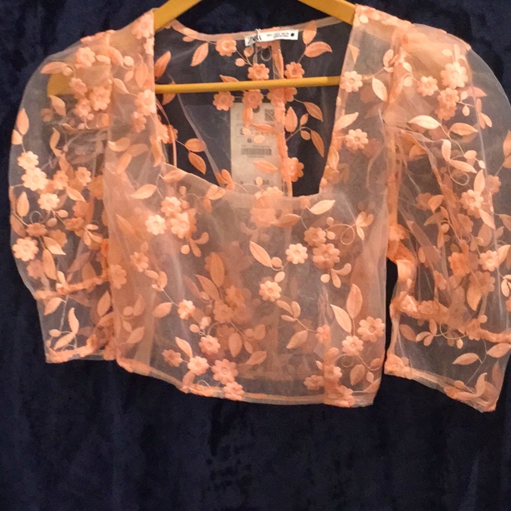 Pretty blush pink sheer top by Zara